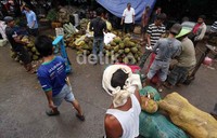 Dengan surutnya air banjir di wilayah Jakarta, jalur-jalur distribusi dan sejumlah pasar yang sempat lumpuh akibat banjir kembali pulih dan aktifitas mulai normal.