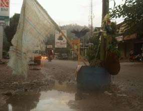 Jalan Provinsi Berlubang, Warga Pacitan Tanam Pisang