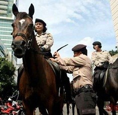 Pembelian Anjing dan Kuda Rp 16 M, Kapolri: Akan Dicari yang Murah