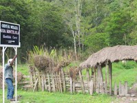Gua Kontilola terletak di Wamena, Kabupaten Jayawijaya. Dari Bandara Wamena, perjalanan ke gua ini menempuh waktu sekitar 1 jam dengan mobil. Untuk masuknya, Anda hanya membayar secara sukarela saja kepada masyarakat sekitar (Afif/detikTravel)