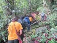 Untuk mencapai gua, Anda harus trekking menanjak selama 5 menit. Jalannya pun masih tanah alami, bukan semen. Hanya dipasang besi sebagai penyangga. Cukup mengusar stamina (Afif/detikTravel)