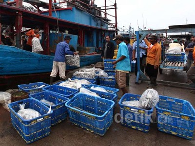 Cuaca Buruk, Tangkapan Ikan Menurun