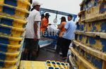 Cuaca Buruk, Tangkapan Ikan Menurun