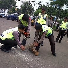 Bruung, Polisi Berlomba Memenggal Batang Pohon