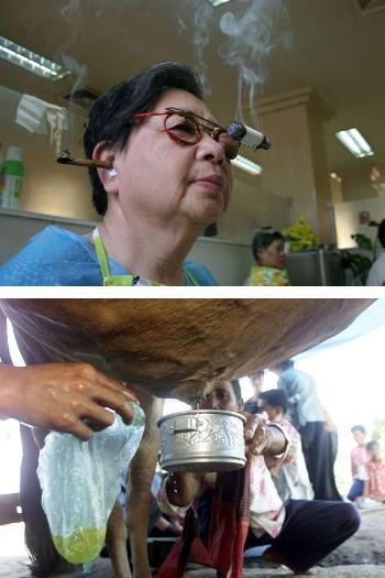 Terapi-terapi Tak Wajar dari Penjuru Dunia