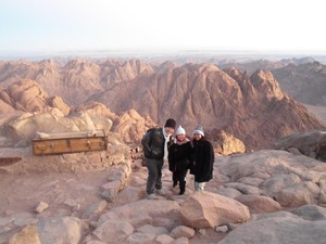 MT SINAI