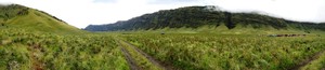Padang Savana......Berasa di Musim Semi Eropa