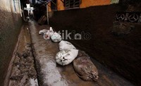 Kerusakan rumah warga yang rusak parah akibat terjangan banjir, terjadi didekat sekitar sungai Ciliwung.     
