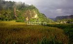 Menjelajah Greatwall Koto Gadang
