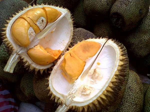 Unduh 8400 Koleksi Gambar Durian Bali Terbaik HD