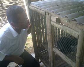 Dahlan Iskan Tinjau Lokasi Pengembangan Kelinci Moderen di Pasuruan