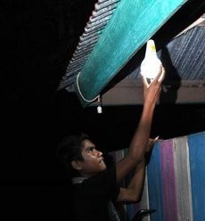 PLN Targetkan Listrik di NTB Menyala 24 Jam