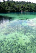 Menawannya Kepulauan Raja Ampat
