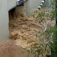 Banjir di Plaza UOB Telah Surut, Proses Pengeringan Dihentikan