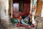 Dari Herbal Kunyah Inilah, Narkoba Jenis Chatinone Berasal
