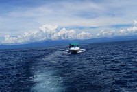 Perjalanan menuju pulau ini dapat dimulai dari Pandan ibukota Tapteng, sekitar 360 kilometer dari Medan, ibukota Sumut. Ada perahu-perahu wisata milik warga yang dapat disewa menuju ke sana.