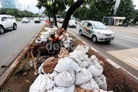 Lumpur kering dimasukkan ke dalam karung kemudian dibuang.