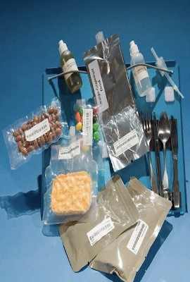 Makanan Lezat Astronot dari Bentuk Kubus Sampai Cairan