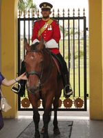 Wow, Megahnya Istana Raja Malaysia
