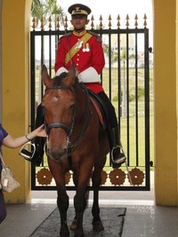 Penjaga Istana Negara dari Pasukan Berkuda. Wisatawan boleh memegang kudanya, tapi jangan sampai mengganggu pasukan berkuda yang sedang bertugas ya (Marwan/detikTravel)