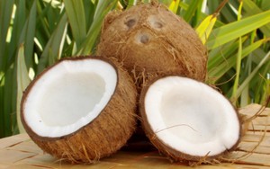 Si Buah Nyengir yang Sarat Manfaat