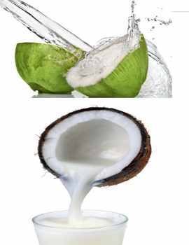 Ternyata Santan Sama Sehatnya dengan Minyak Kelapa