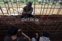 Beton tanggul ditinggikan hingga 1,5 meter.