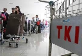 Pemerintah RI Tempatkan 2.500 Pemagang Kerja Ke Jepang Dengan Gaji Rp 8,2 Juta/Bulan