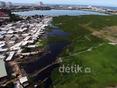 Atasi Banjir Waduk Pluit Dikeruk