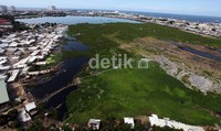 Waduk pluit dari ketinggian tampak sebagian besar dipenuhi eceng gondok dan terlihat dangkal. Pemerintah DKI Jakarta menganggarkan  Rp 900 miliar untuk melakukan proses tersebut untuk melakukan proses pengerukan.     