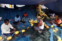 Sejumlah pekerja memperbaiki jaring di kawasan Pelabuhan Muara Baru, Jakarta Utara, Senin (4/2/2013).