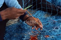 Mereka meyambung dan memperbaiki jaring-jaring yang bolong.
