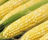 Selain Daging, Ini Bahan Pangan yang Dibeli RI dari Luar Negeri