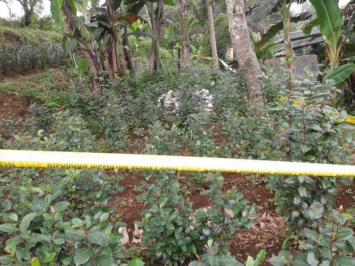 Pemilik 300 m2 Ghat Cathinone di Puncak Raup Hingga Rp 15 Juta/Bulan