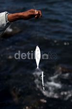 Asyiknya Memancing di Pinggir Laut