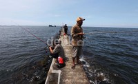 Para pemancing menunggu umpananya sambil duduk ataupun berdiri. Sesekali mereka menggulung dan menarik umpannya. 