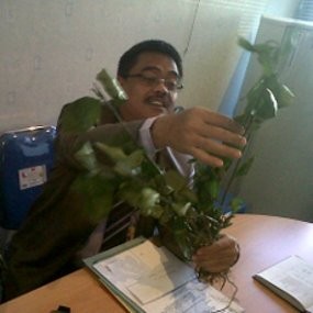 Polda Jabar Segera Musnahkan Tanaman Ghat Chatinone