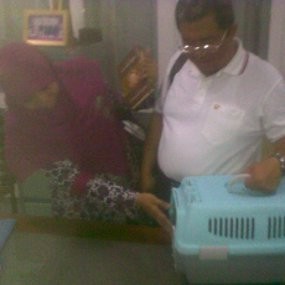 Pillow Juga Ikut Angkat Koper dari Gedung Pakuan