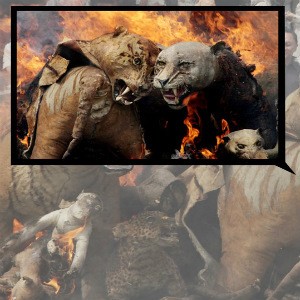 Seni Cropping Foto yang Atraktif & Provokatif!