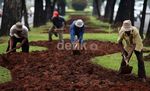 Mempercantik Taman di Jalan Merdeka Selatan