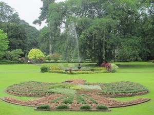 Burung Garuda, Meksiko & Bekantan di Kebun Raya Bogor