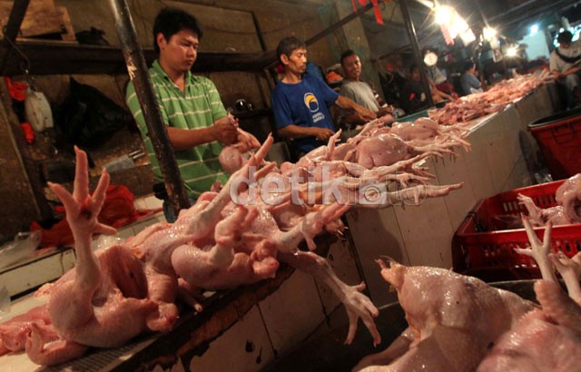 Daging Ayam Bisa Gantikan Daging Sapi