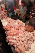 Daging Ayam Bisa Gantikan Daging Sapi