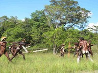 Tari Perang ini berlangsung di Kampung Obia, Distrik Kurulu, Wamena. Tarian ini menjadi daya tarik tersendiri bagi wisatawan yang datang ke Wamena. Tari ini juga dipentaskan pada Festival Lembah Baliem (Afif/detikravel)