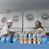 Artika Sari Devi dan Baim Cuci Baju Gratis Korban Banjir Kalideres
