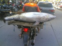 Foto: Sugeng Widodo