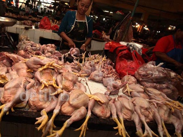 Di Pasar Klender, Harga Ayam Melonjak