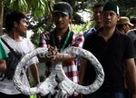 KPK Didemo HMI
