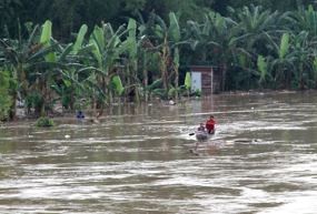 Luapan Bengawan Solo di Bojonegoro Genangi Rumah dan Sawah