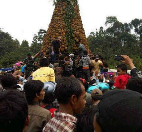 Gunungan 2013 Durian Diperebutkan Ribuan Orang